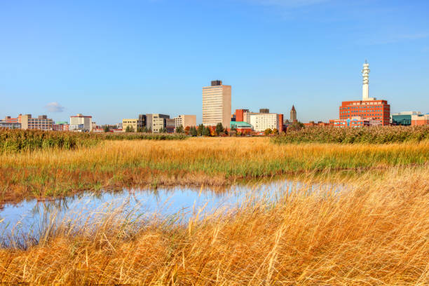 Responsive Istockphoto 1436818546 612X612 (Mobile 0 Breakpoint) Maritime Logistics Briefing Header (Desktop 0 Breakpoint)